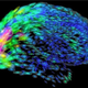 Illustration for article titled Pentagon Looking to Repair Damaged Brains with Implants